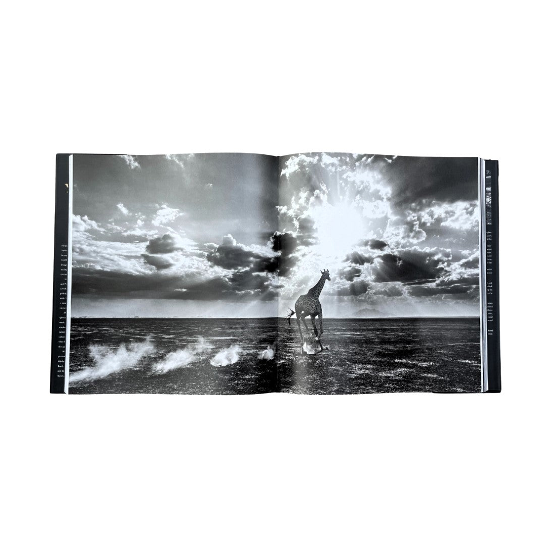 David Yarrow Photography-Americas Africa Antarctica Arctic Asia Europe - by David Yarrow, Foreword by Tom Brady, Published by Rizzoli-Open Inside Page-Photograph of Giraffe Running Towards a Bright Sun-Heaven Can Wait