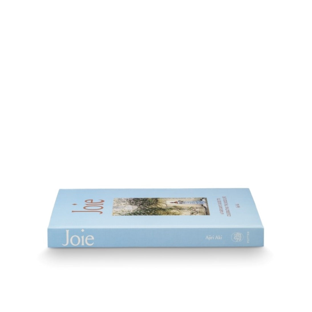 Joie - A Parisian's Guide to Celebrating the Good Life by Ajiri Aki and Published by Clarkson Potter - Blue and Gold Hardcover Coffee Table Book - Side Spine and Angled Front Cover