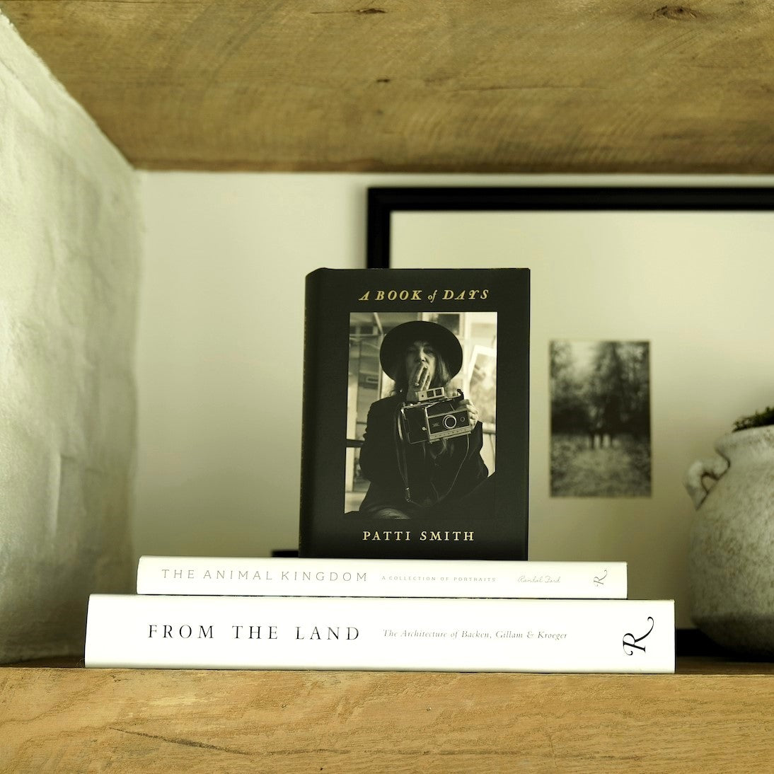 A Book of Days by Musician Patti Smith, Published by Random House Bloomsbury - Hardcover Black and Gold Front Cover Standing with Dust Jacket on Shelf with The Animal Kingdom and From the Land