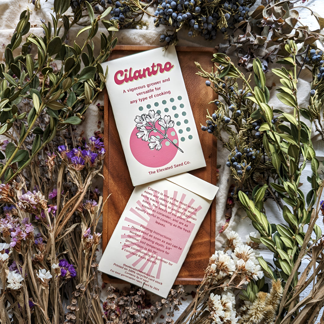 Cilantro (Coriander) Garden Seeds